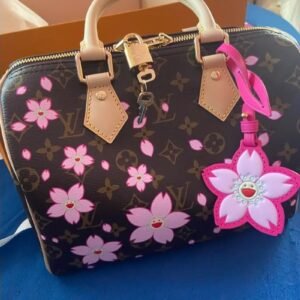 Speedy 25 Louis Vuitton cherry blossom
🌸 🍒