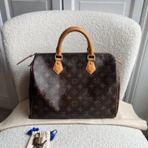 Louis Vuitton Speedy 30 in Monogram canvas with gold hardware